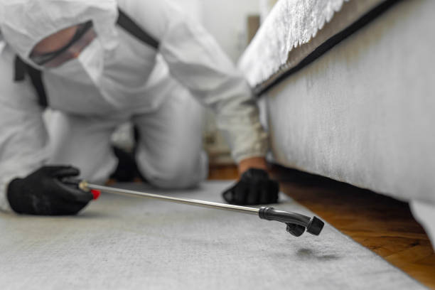 Professional Cockroach Control technician working in Blair, WI